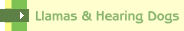 Llamas & Hearing Dogs
