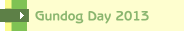 Events 2010